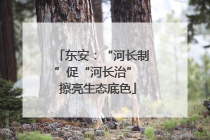 东安：“河长制”促“河长治” 擦亮生态底色
