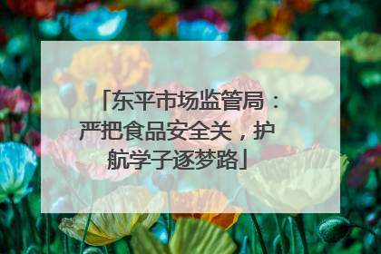 东平市场监管局：严把食品安全关，护航学子逐梦路
