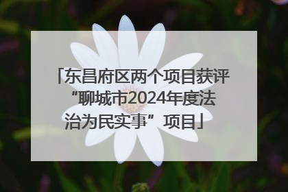 东昌府区两个项目获评“聊城市2024年度法治为民实事”项目