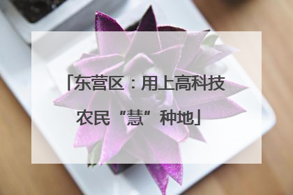 东营区：用上高科技 农民“慧”种地