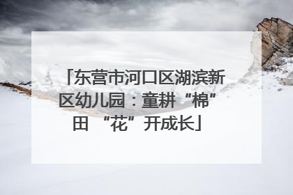 东营市河口区湖滨新区幼儿园：童耕“棉”田 “花”开成长