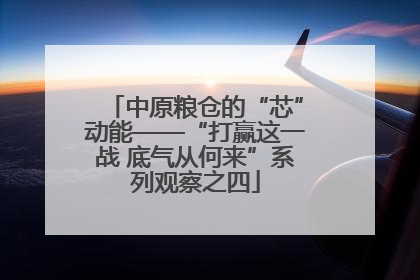 中原粮仓的“芯”动能——“打赢这一战 底气从何来”系列观察之四
