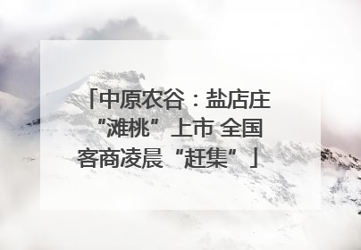 中原农谷：盐店庄“滩桃”上市 全国客商凌晨“赶集”