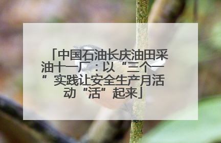 中国石油长庆油田采油十一厂：以“三个一”实践让安全生产月活动“活”起来
