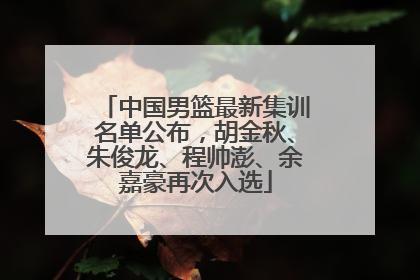 中国男篮最新集训名单公布，胡金秋、朱俊龙、程帅澎、余嘉豪再次入选