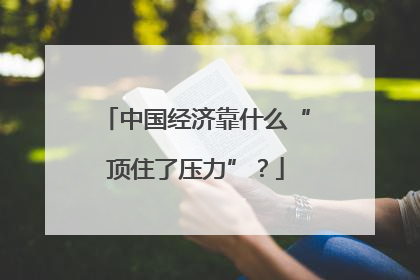 中国经济靠什么“顶住了压力”？