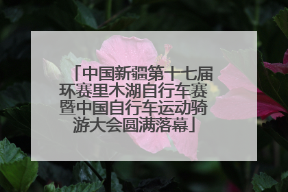 中国新疆第十七届环赛里木湖自行车赛暨中国自行车运动骑游大会圆满落幕