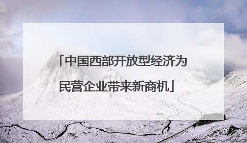 中国西部开放型经济为民营企业带来新商机