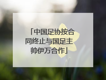 中国足协按合同终止与国足主帅伊万合作