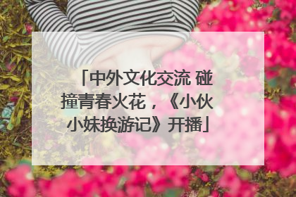 中外文化交流 碰撞青春火花，《小伙小妹换游记》开播