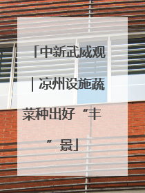 中新武威观｜凉州设施蔬菜种出好“丰”景