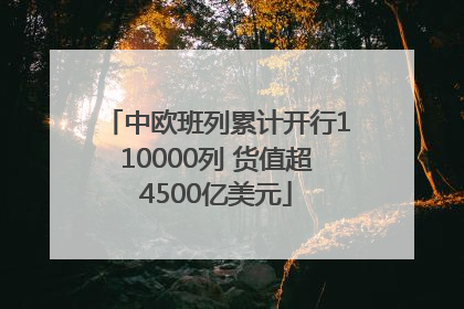 中欧班列累计开行110000列 货值超4500亿美元
