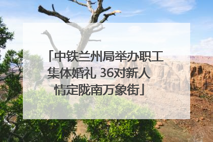 中铁兰州局举办职工集体婚礼 36对新人情定陇南万象街