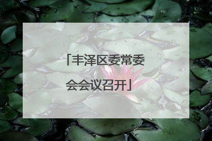 丰泽区委常委会会议召开