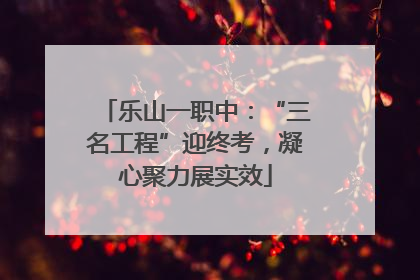 乐山一职中：“三名工程”迎终考，凝心聚力展实效