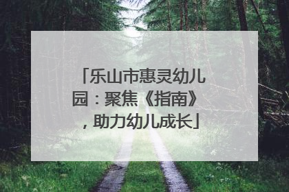 乐山市惠灵幼儿园：聚焦《指南》，助力幼儿成长
