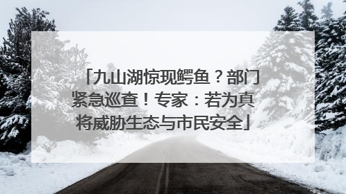 九山湖惊现鳄鱼？部门紧急巡查！专家：若为真将威胁生态与市民安全