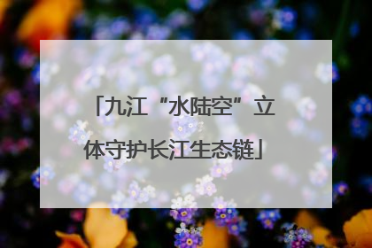 九江“水陆空”立体守护长江生态链
