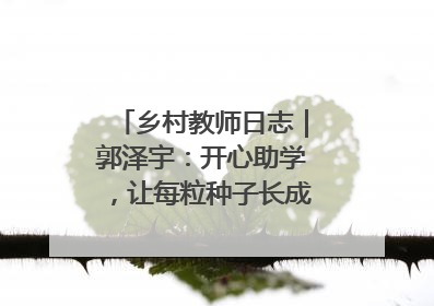 乡村教师日志｜郭泽宇：开心助学，让每粒种子长成最好模样