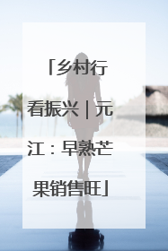 乡村行 看振兴｜元江：早熟芒果销售旺