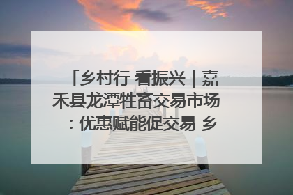 乡村行 看振兴｜嘉禾县龙潭牲畜交易市场：优惠赋能促交易 乡村振兴添动能