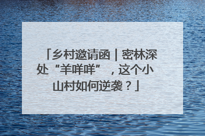 乡村邀请函｜密林深处“羊咩咩”，这个小山村如何逆袭？