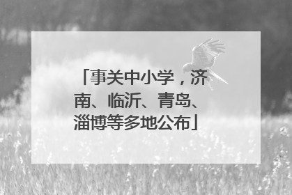 事关中小学，济南、临沂、青岛、淄博等多地公布