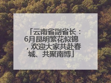 云南省副省长：6月昆明繁花似锦，欢迎大家共赴春城、共聚南博