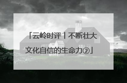 云岭时评丨不断壮大文化自信的生命力②