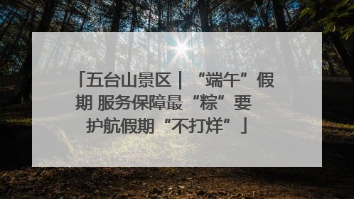 五台山景区｜“端午”假期 服务保障最“粽”要 护航假期“不打烊”