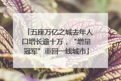 五座万亿之城去年人口增长逾十万，“增量冠军”重回一线城市