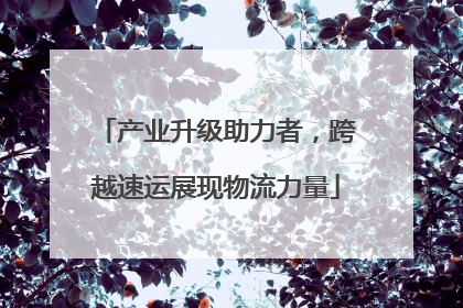 产业升级助力者，跨越速运展现物流力量