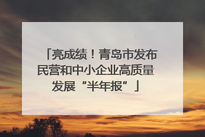 亮成绩！青岛市发布民营和中小企业高质量发展“半年报”