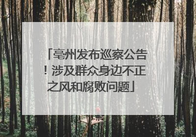 亳州发布巡察公告！涉及群众身边不正之风和腐败问题
