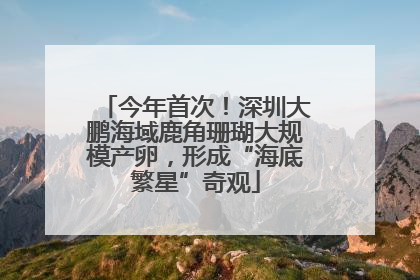 今年首次！深圳大鹏海域鹿角珊瑚大规模产卵，形成“海底繁星”奇观