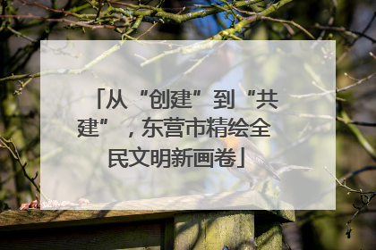 从“创建”到“共建”，东营市精绘全民文明新画卷