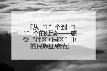 从“1”个到“11”个的延续——感受“社区+园区”中的民族团结情
