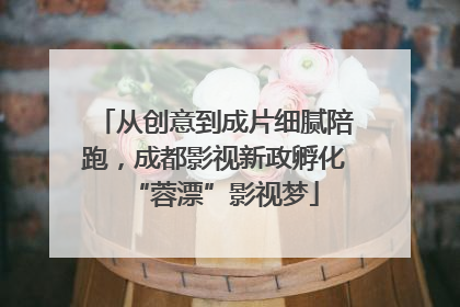 从创意到成片细腻陪跑，成都影视新政孵化“蓉漂”影视梦