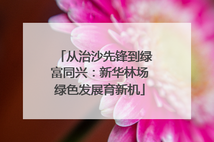 从治沙先锋到绿富同兴：新华林场绿色发展育新机