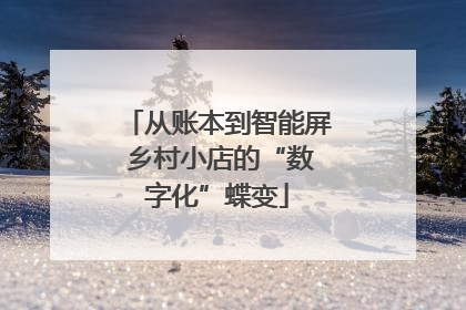 从账本到智能屏 乡村小店的“数字化”蝶变