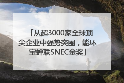 从超3000家全球顶尖企业中强势突围，能环宝蝉联SNEC金奖