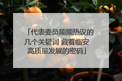 代表委员频频热议的几个关键词 藏着临安高质量发展的密码