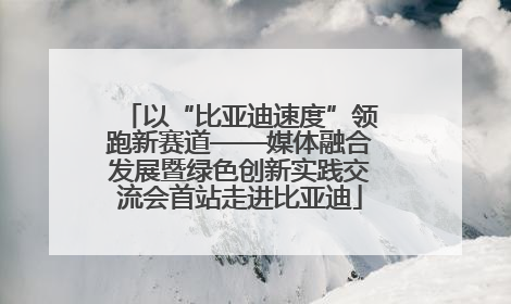 以“比亚迪速度”领跑新赛道——媒体融合发展暨绿色创新实践交流会首站走进比亚迪
