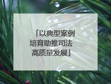 以典型案例培育助推司法高质量发展