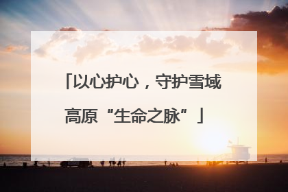 以心护心，守护雪域高原“生命之脉”