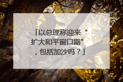 以总理称迎来“扩大和平窗口期”，包括加沙吗？