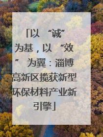 以 “诚” 为基，以 “效” 为翼：淄博高新区揽获新型环保材料产业新引擎