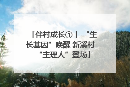 伴村成长①丨 “生长基因”唤醒 新溪村“主理人”登场