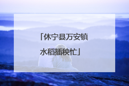休宁县万安镇水稻插秧忙