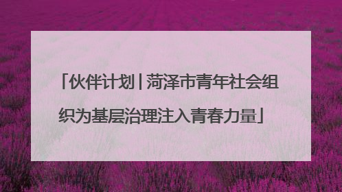 伙伴计划│菏泽市青年社会组织为基层治理注入青春力量